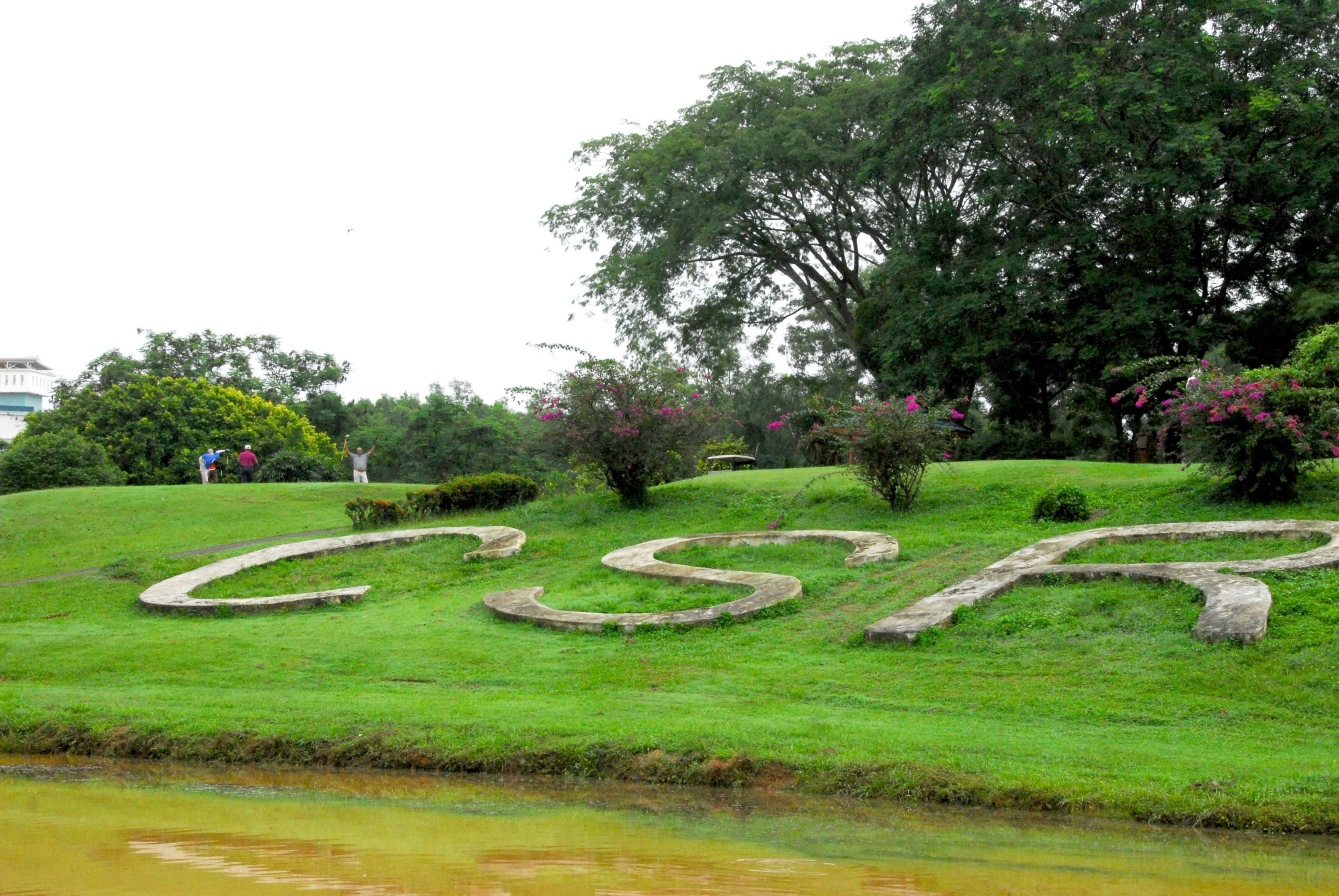 PRO15 157 GOLF DSC 0168.JPG